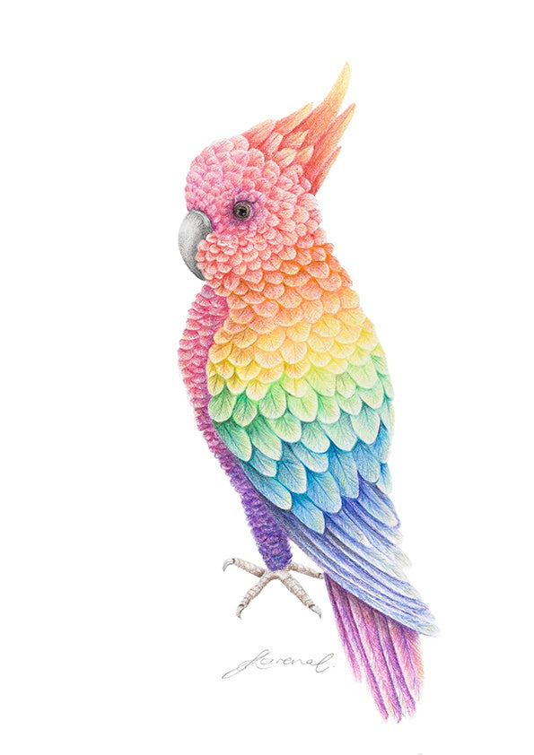 Rainbow Cockatoo - Art Print