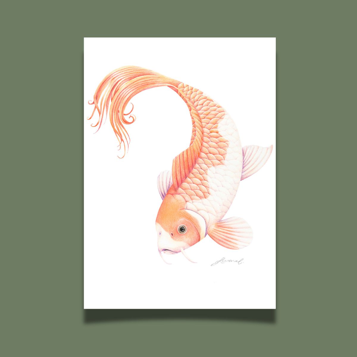 Fish