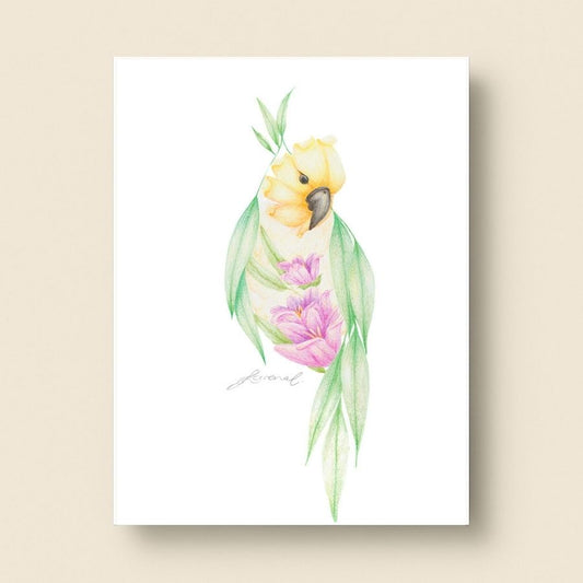 Floral Cockatoo - Coloured Pencil Art Print