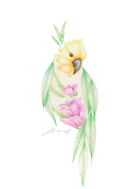 Floral Cockatoo - Art Print