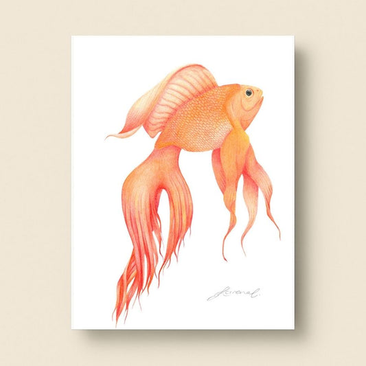 Goldfish - Coloured Pencil Art Print
