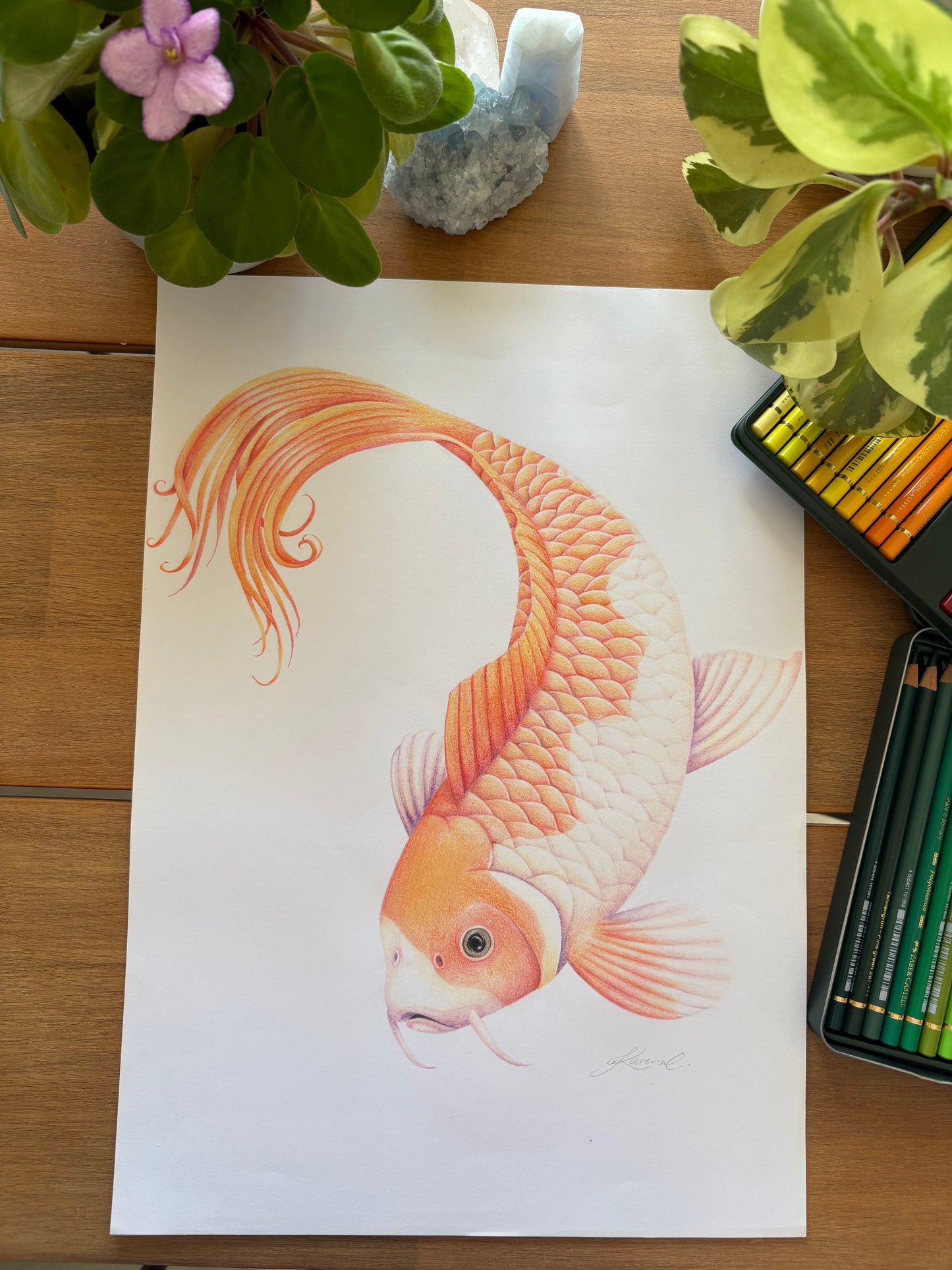 Koi Fish - Art Print