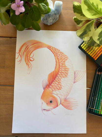 Koi Fish - Art Print