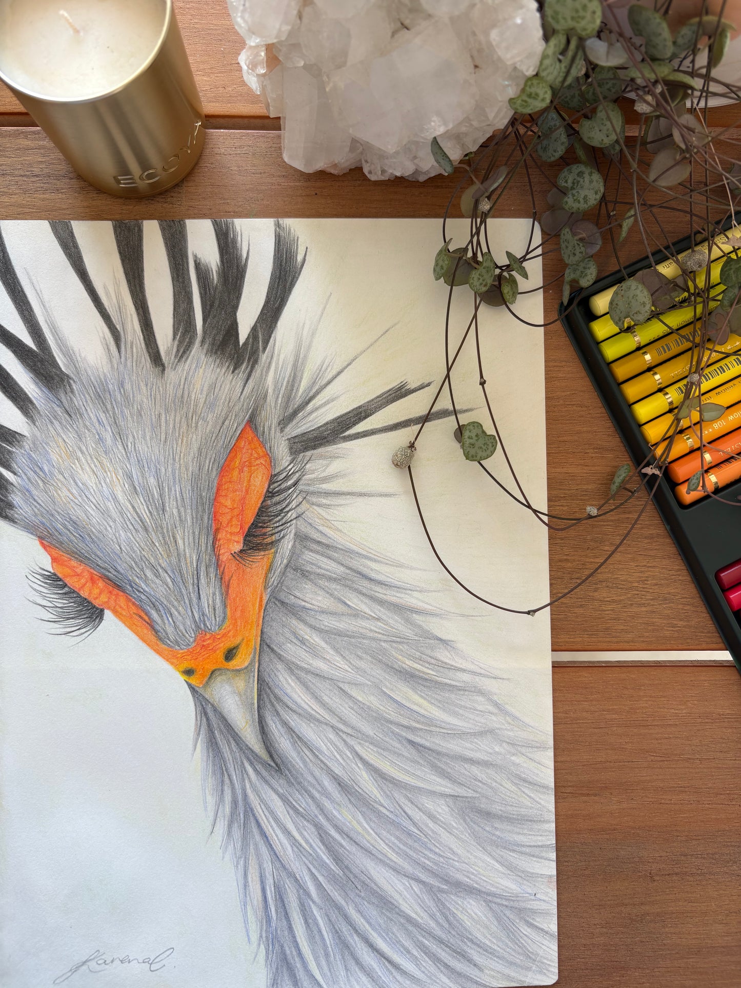 Secretary Bird - Coloured Pencil Art Print