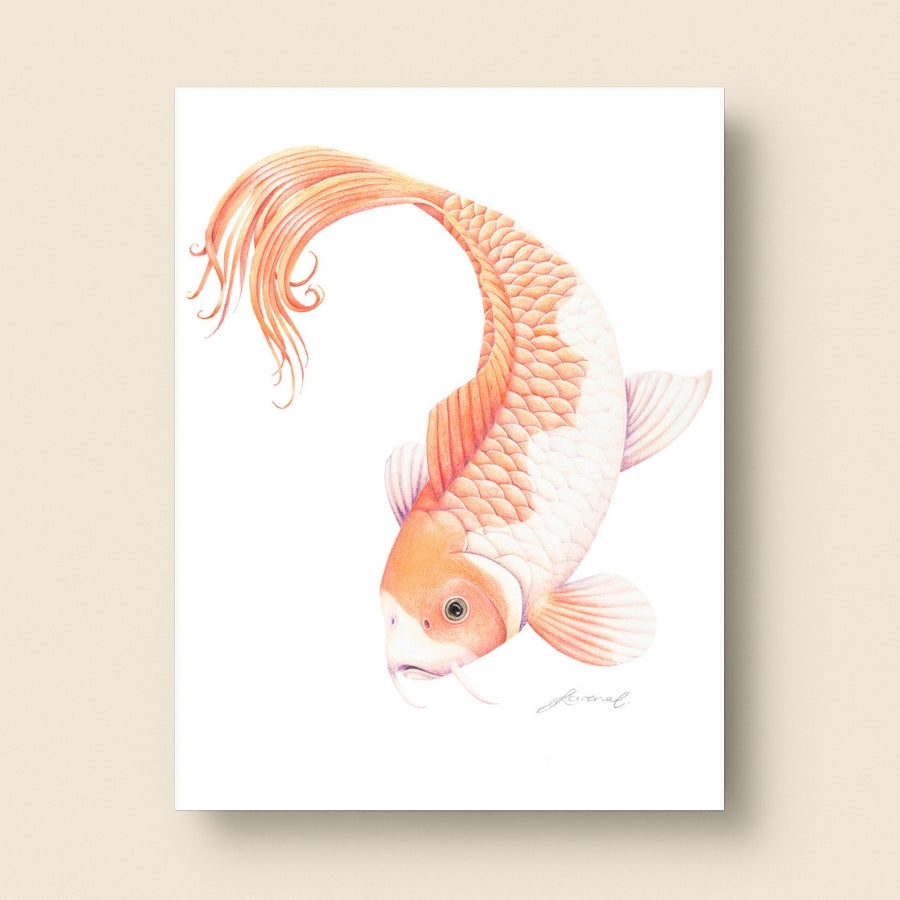 Koi Fish - Art Print