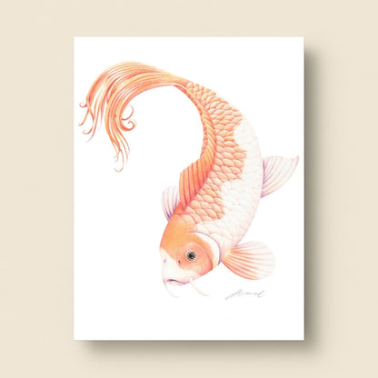 Koi Fish - Art Print