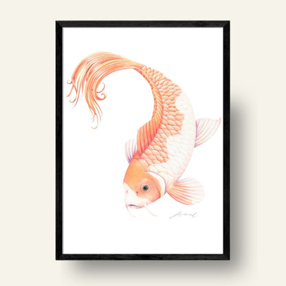 Koi Fish - Art Print