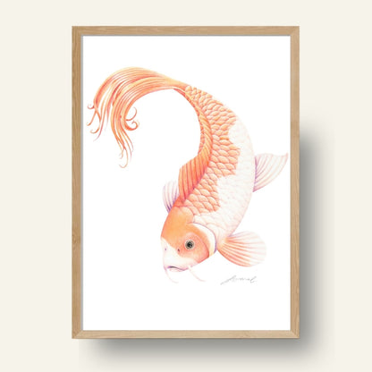 Koi Fish - Art Print
