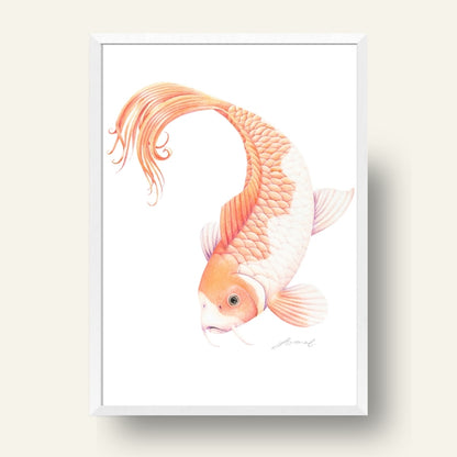 Koi Fish - Art Print