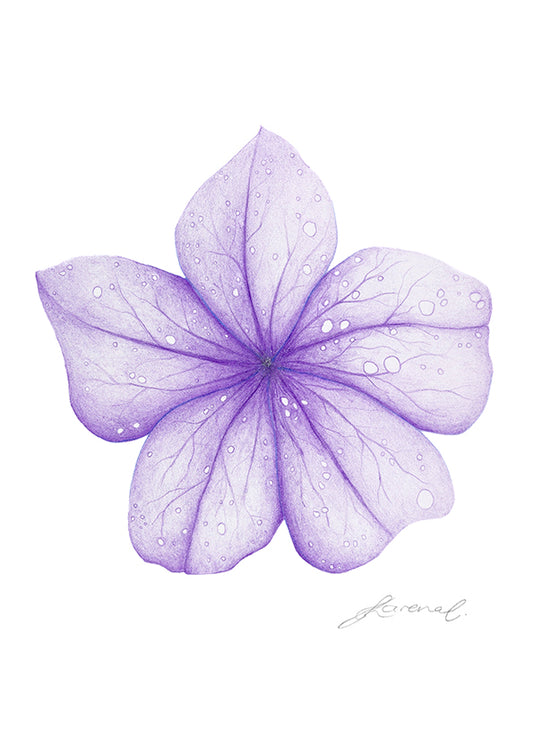 Purple Flower - Art Print