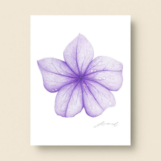 Purple Flower - Coloured Pencil Art Print