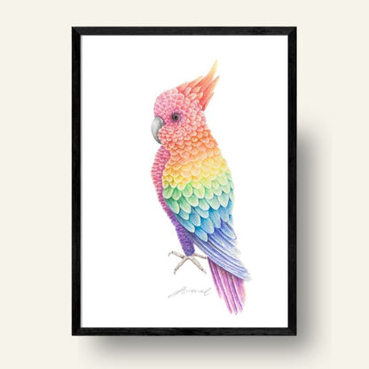 Rainbow Cockatoo - Coloured Pencil Art Print