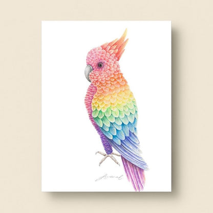 Rainbow Cockatoo - Coloured Pencil Art Print