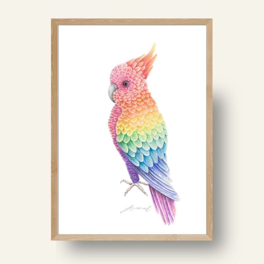 Rainbow Cockatoo - Coloured Pencil Art Print