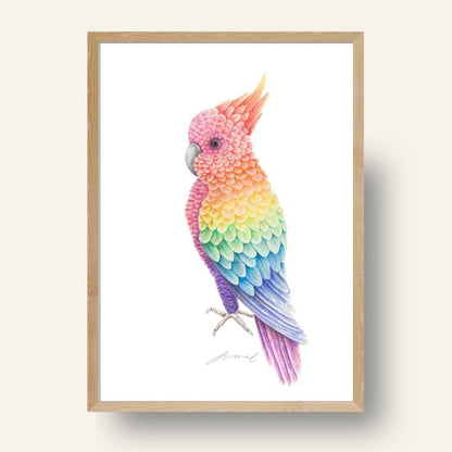 Rainbow Cockatoo - Coloured Pencil Art Print