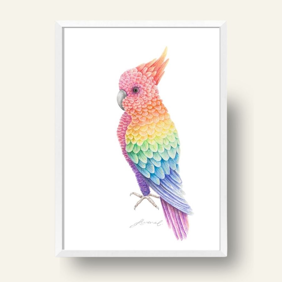 Rainbow Cockatoo - Coloured Pencil Art Print