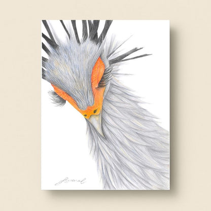 Secretary Bird - Coloured Pencil Art Print