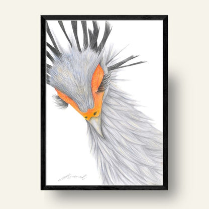 Secretary Bird - Coloured Pencil Art Print