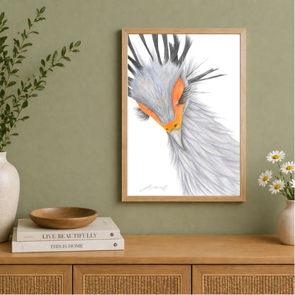 Secretary Bird - Coloured Pencil Art Print