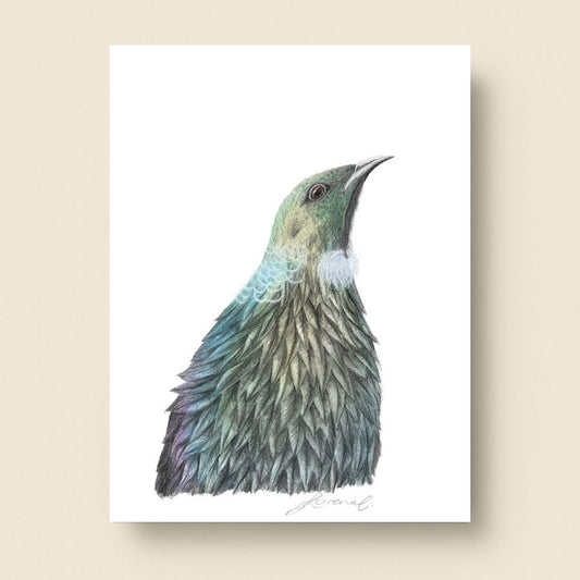 Tūī - Art Print
