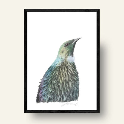 Tūī - Coloured Pencil Art Print