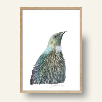 Tūī - Coloured Pencil Art Print