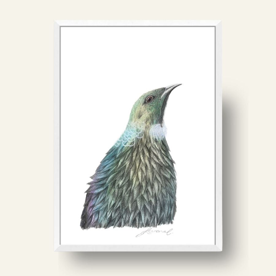Tūī - Coloured Pencil Art Print